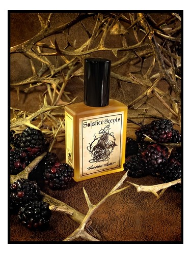 Frasco de Thornwood Thicket — Solstice Scents