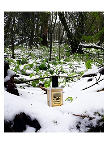 Frasco de Snowmint Mallow — Solstice Scents