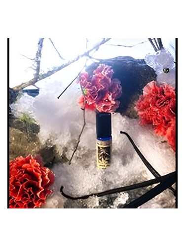 Frasco de Winter Dove — Solstice Scents