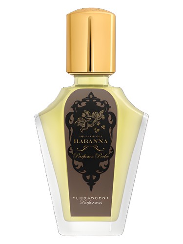 Frasco de Habanna — Florascent
