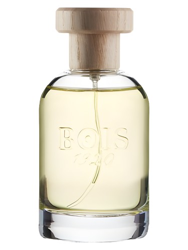Frasco de Magia, de Bois 1920