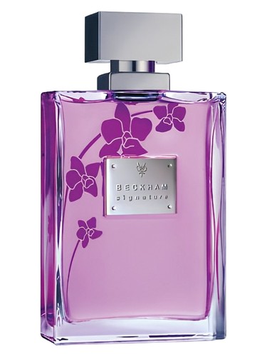 Frasco de Signature for Her — David Beckham