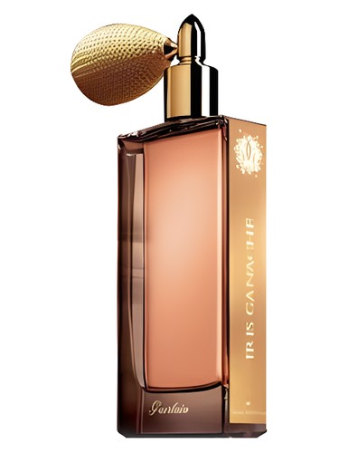 Frasco de Iris Ganache — Guerlain