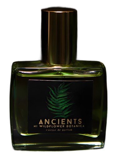 Frasco de Ancients — Hi Wildflower Botanica