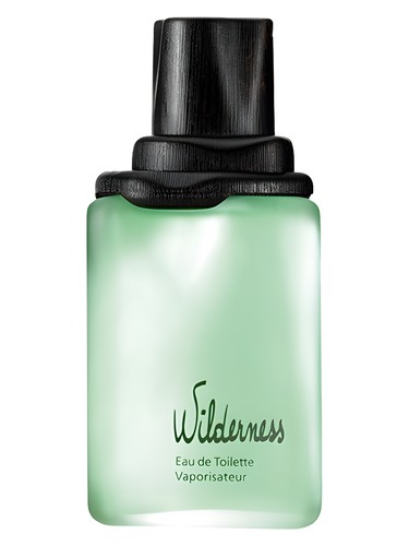 Frasco de Wilderness, de Avon
