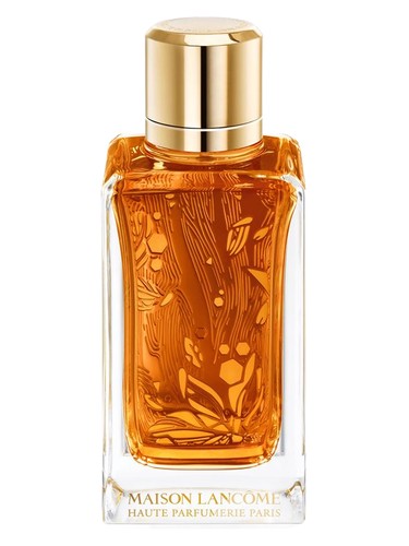 Frasco de Oud Ambroisie — Lancôme