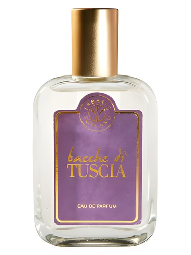 Frasco de Bacche di Tuscia — Erbario Toscano