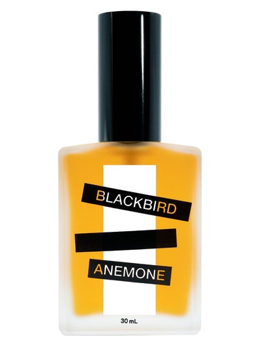 Frasco de Anemone — Blackbird