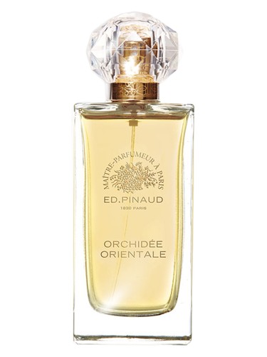 Frasco de Orchidée Orientale, de Ed Pinaud