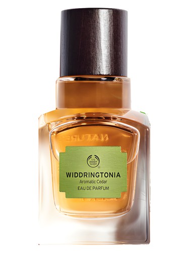 Frasco de Widdringtonia — The Body Shop