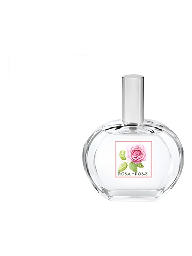 Frasco de Rosa Rosae, de Helan