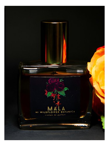 Frasco de Mala — Hi Wildflower Botanica