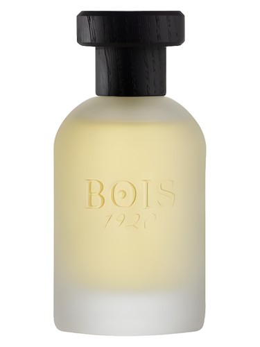 Frasco de Real Patchouly — Bois 1920