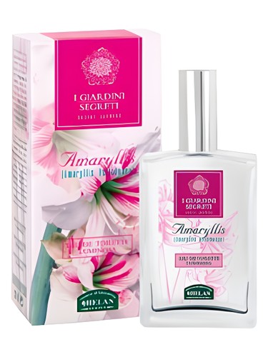 Frasco de Amaryllis, de Helan