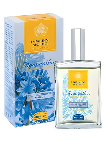Frasco de Agapanthus, de Helan