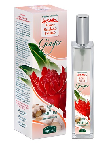 Frasco de Ginger, de Helan