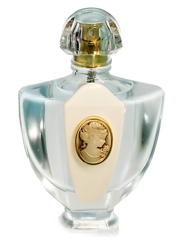 Frasco de L'Eau Classique Pour La Soir, de Brocard