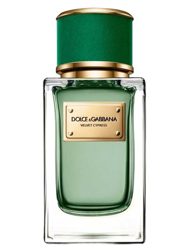 Frasco de Velvet Cypress, de Dolce&Gabbana