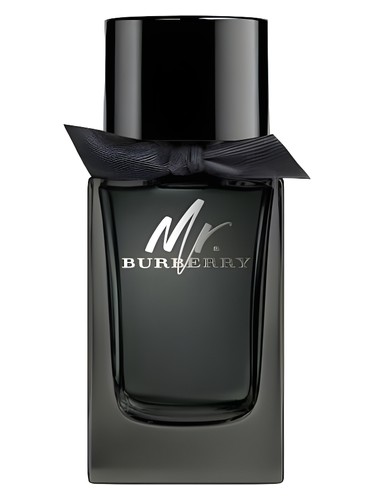 Frasco de Mr. Burberry Eau de Parfum, de Burberry