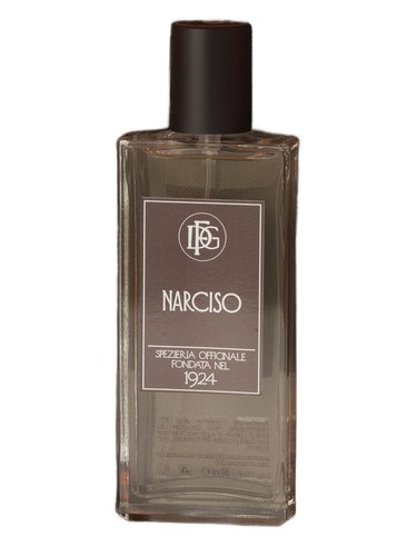 Frasco de Narciso, de DFG1924