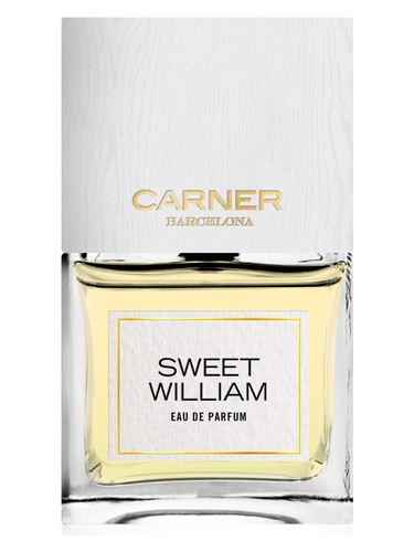 Frasco de Sweet William — Carner Barcelona