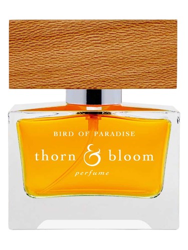 Frasco de Bird of Paradise — Thorn & Bloom