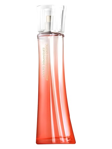 Frasco de Agua de Bambu Exotic for Her, de Adolfo Dominguez