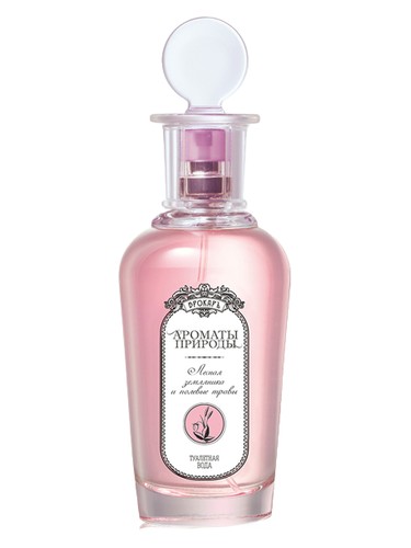 Frasco de Лесная земляника и полевые травы - Wild Strawberry and Herbs — Brocard