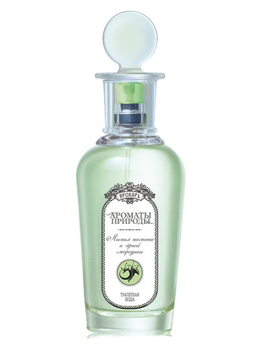 Frasco de Листья томата и черной смородины - Tomato and Black Currant Leaves — Brocard