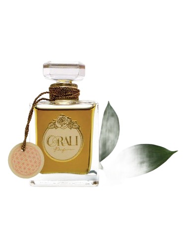 Frasco de Saint, de Orali Perfume