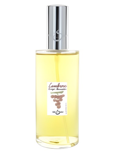 Frasco de Lambrosc — Hilde Soliani