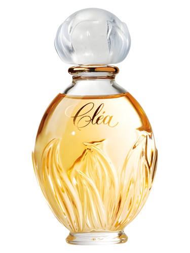Frasco de Clea — Yves Rocher