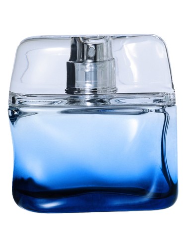 Frasco de Bleu Intense, de Nicole Farhi