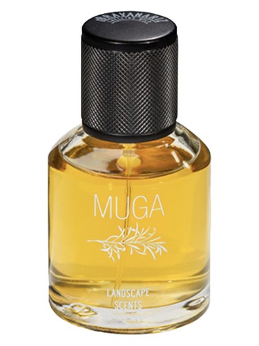 Frasco de Muga — Bravanariz