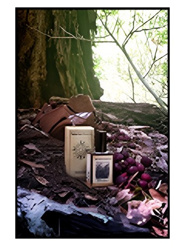 Frasco de Black Forest — Solstice Scents
