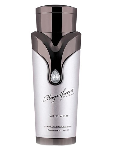Frasco de Magnificent Pour Homme, de Armaf