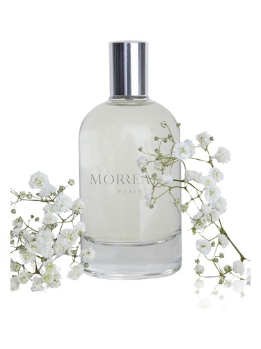 Frasco de Morreale Pour Homme, de Morreale Paris