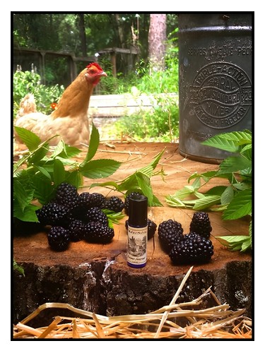 Frasco de Blackburn Farmstead — Solstice Scents