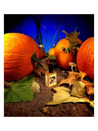 Frasco de Gunnerson's Pumpkin Patch — Solstice Scents