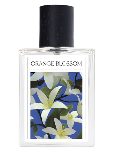 Frasco de Orange Blossom — The 7 Virtues