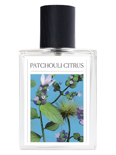 Frasco de Patchouli Citrus, de The 7 Virtues