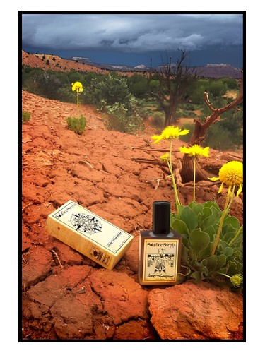 Frasco de Desert Thunderstorm — Solstice Scents