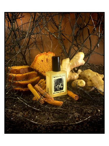 Frasco de Dark Ginger Spicecake — Solstice Scents