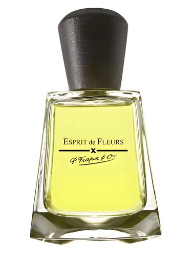 Frasco de Esprit de Fleurs — Frapin