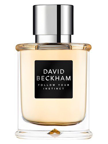 Frasco de Follow Your Instinct, de David Beckham