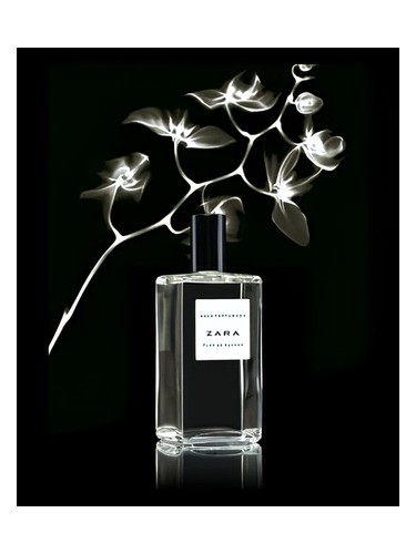Frasco de Flor de Azahar, de Zara