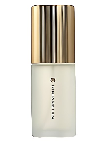 Frasco de White Linen Breeze, de Estée Lauder