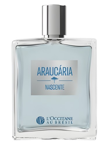 Frasco de Araucária Nascente, de L’Occitane Au Brésil