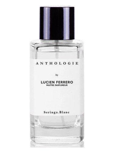 Frasco de Seringa Blanc — Anthologie
