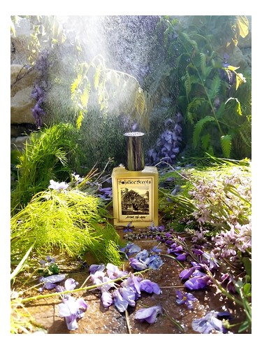 Frasco de After the Rain — Solstice Scents